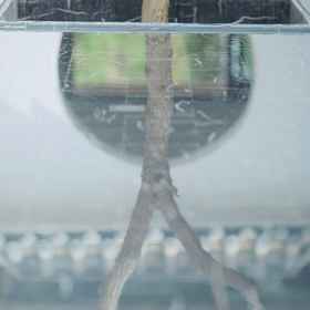 Hotel Exterior 1 Dunhuang Luyeyousha Inn, Dunhuang Hotels