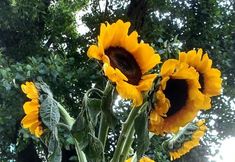 Others 6 Jinan Yanqi UMA Youth Hostel