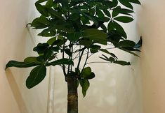 Others 4 Ying Hua Su Hostel