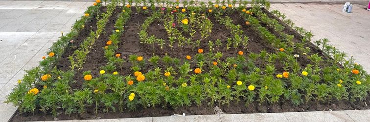 其他 Fengning Bashang Xitan Yishe