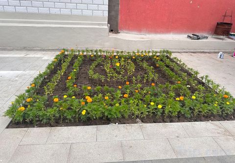 其他 Fengning Bashang Xitan Yishe