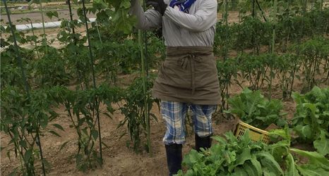 อื่นๆ 2 Kun Jyu xiang po po inn