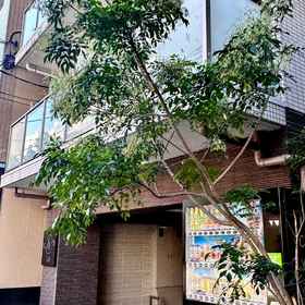 Hotel Exterior 1 louse stage ichiyu Iraya #402, 도쿄 호텔