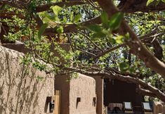 Others 5 Dunhuang No.23 Courtyard
