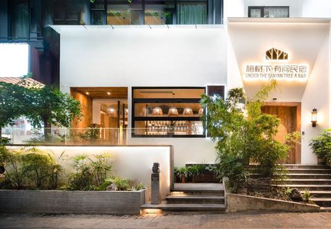 기타 Under the banyan tree, there is a home stay (Guanyinqiao 9th Street store)