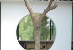 Others 2 Dunhuang Luyeyousha Inn