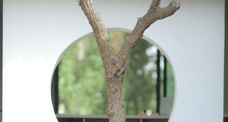 Others 2 Dunhuang Luyeyousha Inn