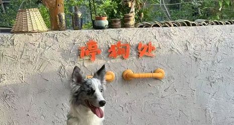 Others 2 Dunhuang Summer Viewing Homestay