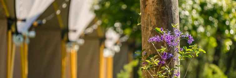 Others Grow Tree Glamping