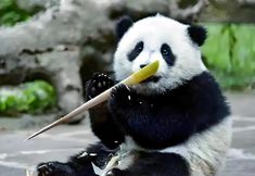 อื่นๆ 7 Guz.Yuya Celebrity Hotel (Xipu Metro Station)