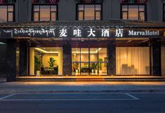 기타 2 Red Original Maiwa Hotel