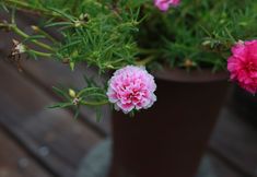 Others 5 Puyuan Xi Hostel (Tianmu Mountain Store)