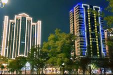 Others Flowers Like Brocade Travel (Shantou Small Park Seaside Promenade Store)