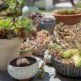 Hotel Exterior 1 Dali Rural Retreat:A Tranquil Garden Courtyard in Caicun Scenic Area by Erhai Lake, Dali Shi Hotels