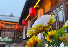 Others 7 Yu Feng Heng Inn