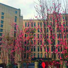 Hotel Exterior 1 Guiqiao Hotel, Prince Hotel Hotels