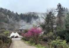 Others 4 Yunshang Tea Garden (Zhangjiajie National Forest Park Yuanjiajie Tea Factory)