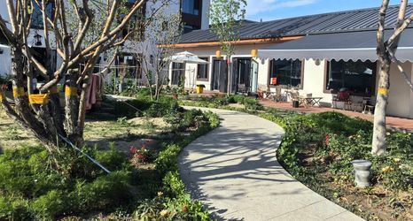 Others 2 QICHENGXIAOJU