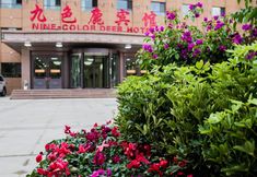 其他 2 Nine-color Deer Hotel
