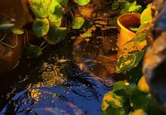 Others 3 Beijing Yueming Yuanxing Blank Tower View Hotel (Xidan Financial Street)