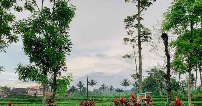 Others Lesehan Cahaya Tetebatu Inn Syariah at Desa Wisata