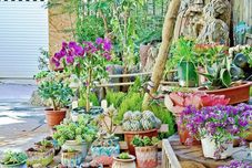 Lain-lain bangsu.lanqiyisu