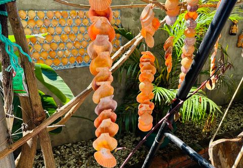 기타 Xuwen Haiquan Homestay