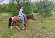 其他 2 Fengning Bashang Xitan Yishe