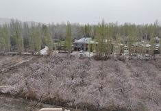 其他 3 100m to Mingsha Mountain Inn