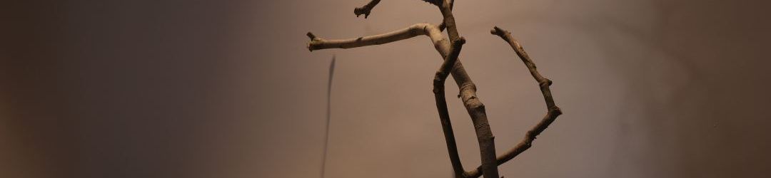 อื่นๆ Shuxi homestay