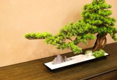 Others 5 Guiyin X Hotel (Yanbian University West Market Branch)