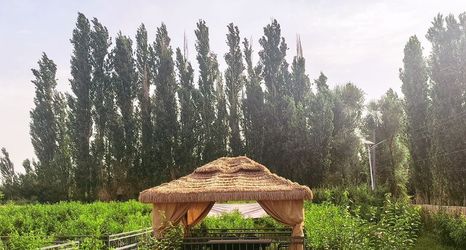 其他 2 Dunhuang Hua Hao Yue Yuan Homestay (Mingsha Mountain & Crescent Spring Scenic Area Branch)