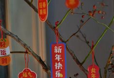Khác 6 MoXiangJu Boutique inn