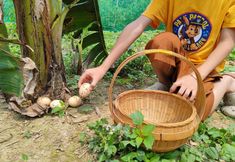 Others 7 Xiaotaoyuan Country Club