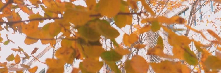 Lain-lain Boyu (Tianjin Huayuan Industrial Park Store)