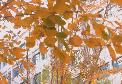 Lain-lain Boyu (Tianjin Huayuan Industrial Park Store)