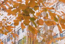 Lain-lain Boyu (Tianjin Huayuan Industrial Park Store)