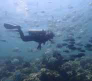 Others 7 AERO Dive Resort Tulamben