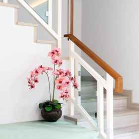 Logo 1 Home 365 Thasala, Kanch Kanok Town 1 Hotels