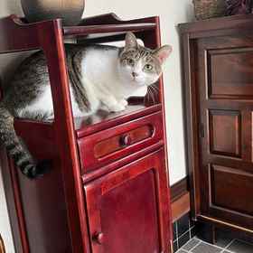 Others 1 Guest House Suigoso, Ootakaen Chaho Hotels