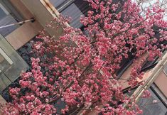 기타 5 Dingxing Hotspring Hotel