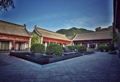 Others 7 suxinguanzhongyuan