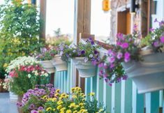 Lainnya 5 Feifan Xiaozhu (Lijiang Ancient City South Gate Branch)