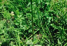 อื่นๆ 7 Bienao Homestay