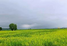 อื่นๆ 6 Bienao Homestay