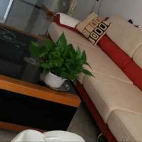 Hotel Exterior 1 Qingmu Sanshe Youth Hostel, Da Tang Guo Ji Hotels