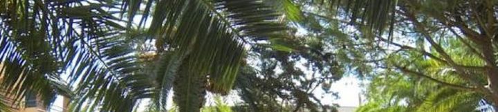 Lain-lain 2 Grupoandria Aparthotel Club Andria