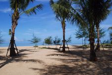 其他 Koh Kho Khao Sea Sun Beach Resort