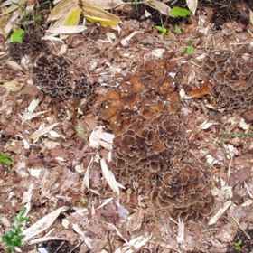 Others 1 Tsutaya Hijiori Hotel, Hotel Higashine