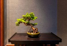기타 6 Jinda Yunlai Hotel
